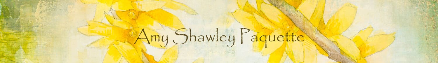 Amy Shawley Paquette