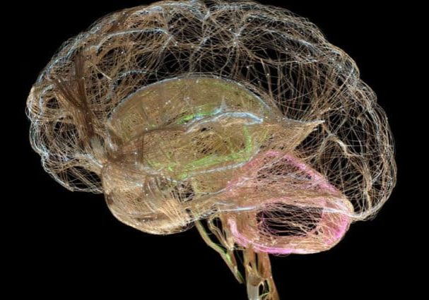 Stroke Awareness May 2025 (1)